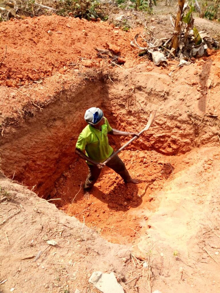 Segi Farm - Sustainable agriculture