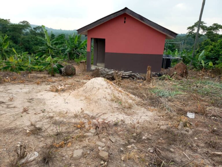 Segi Farm - Farm to table journey